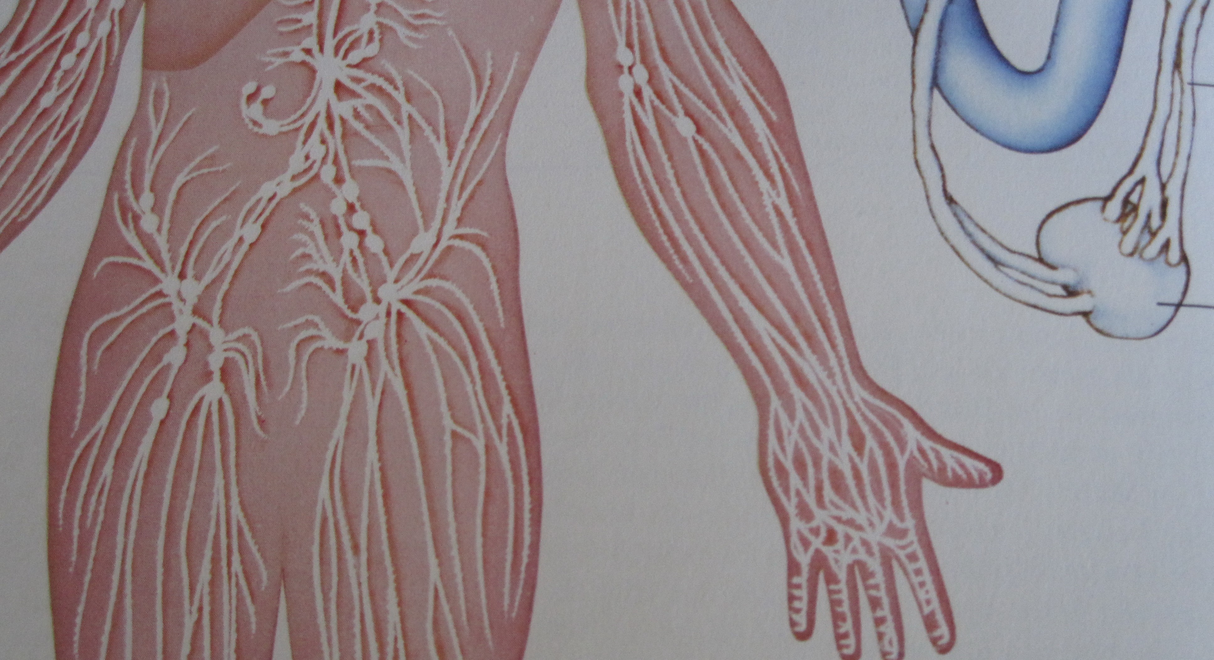 Manuelle Lymphdrainage